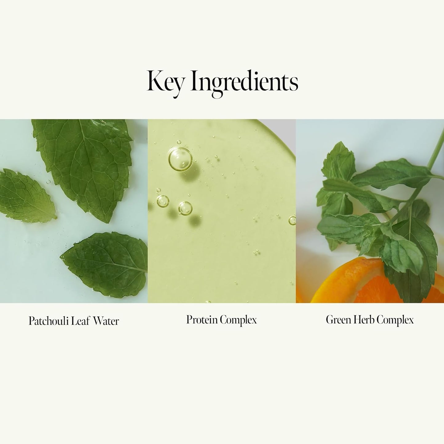 Patchouli Garden Damage Repair Hair Essence – Korean Hair Essence Oil for Damaged Hair w/Patchouli Leaf Water, Protein Complex & Amino Acids – Vegan Leave in Hair Serum (50ml / 1.69 fl. Oz)